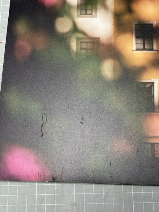 Wandbild 'Otto der Reiche auf dem Obermarkt' 60x40cm auf 5mm Forex - B-Ware