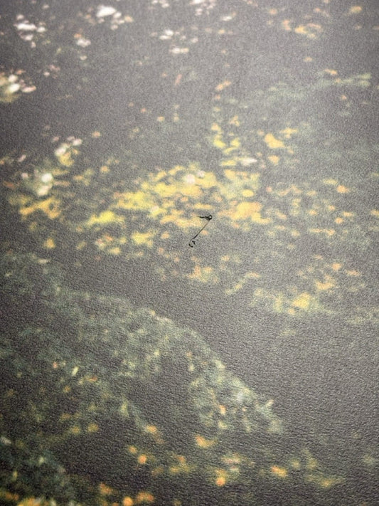 Wandbild 'Abraham-Gottlob-Werner Denkmal im Albertpark' 40x60cm auf 3mm Forex - B-Ware