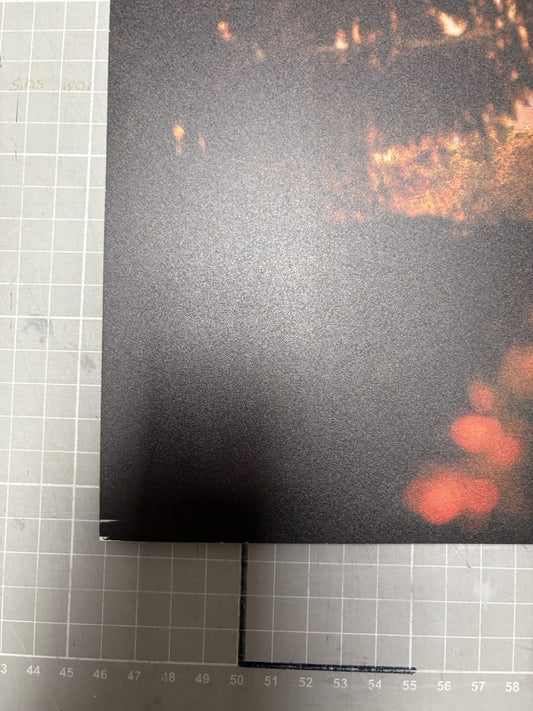 Wandbild 'Herbstlicher Altstadtblick mit Petrikirche' 60x40cm auf 5mm Forex - B-Ware