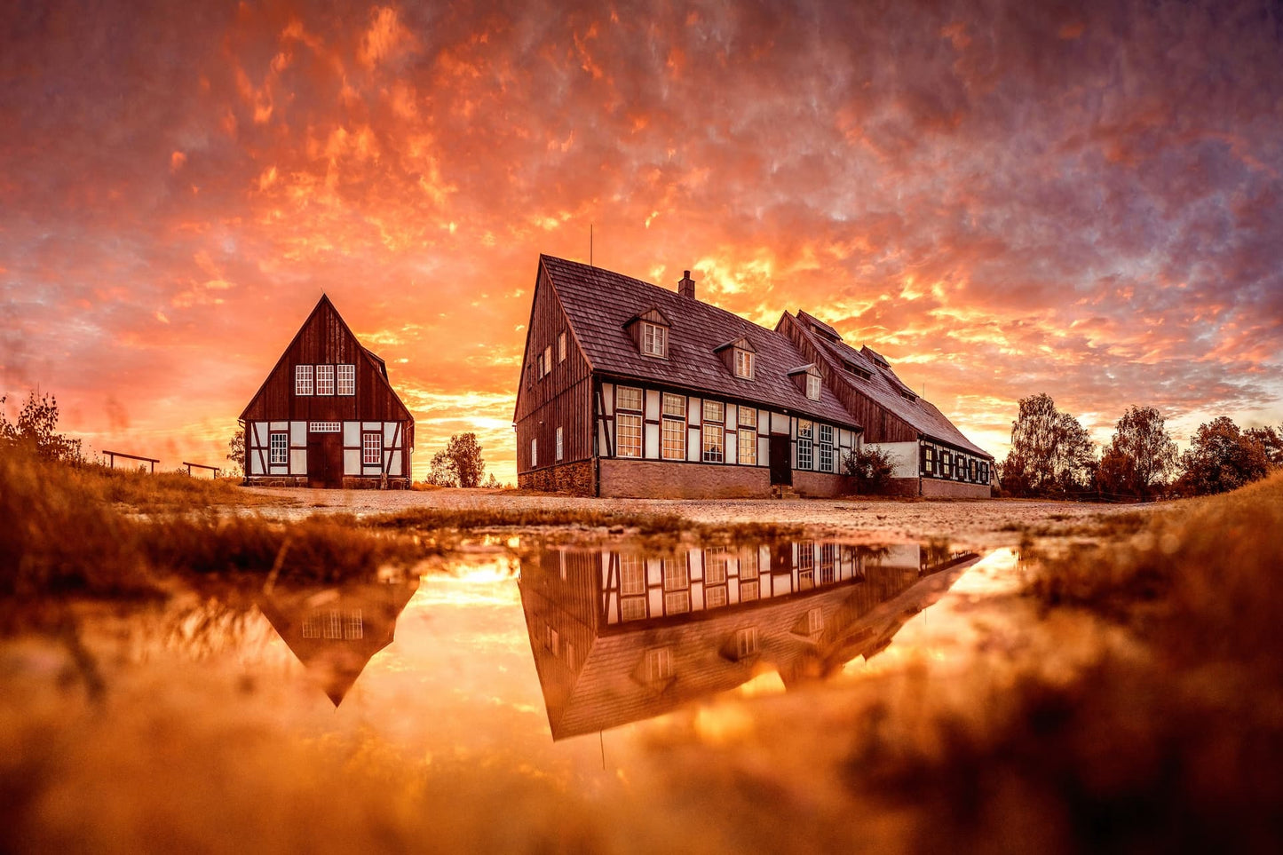 Wandbild 'Pfütze - Alte Elisabeth'