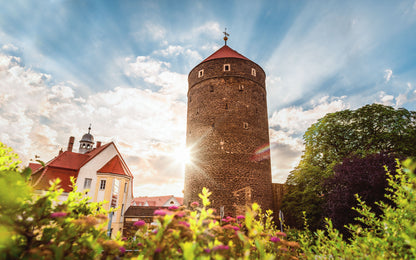 Wandbild 'Donatsturm Frühling'