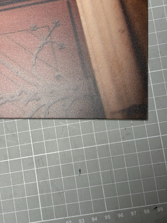 Wandbild 'Jakobikirche' 60x40cm auf 3mm Forex - B-Ware