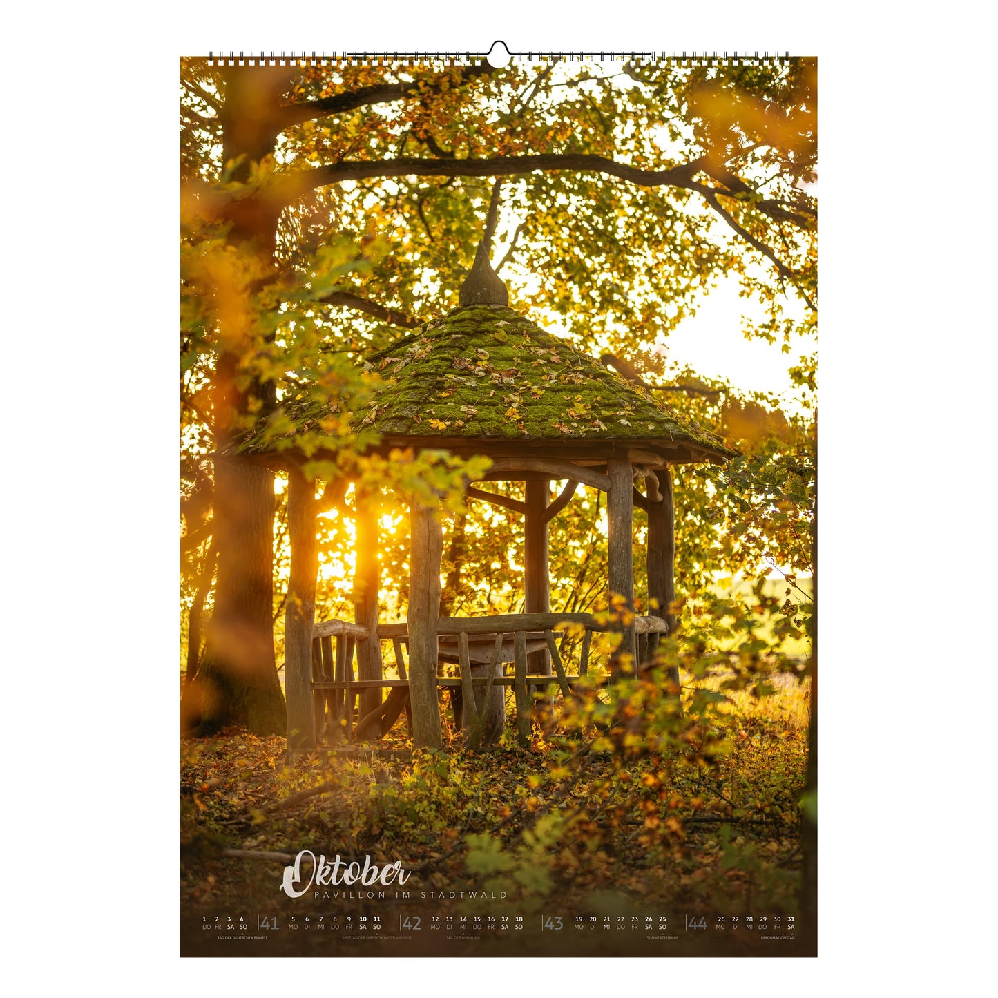 Limited Edition Kalender 2026 - DIN A2