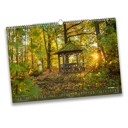 Kalenderblatt Oktober 2027: Moosbedeckter Pavillon im Freiberger Stadtwald, umgeben von herbstlich gefärbtem Laub im Gegenlicht.