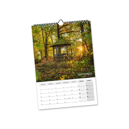 September 2027: Pavillon im Freiberger Stadtwald zwischen herbstlichen Bäumen im goldenen Gegenlicht.