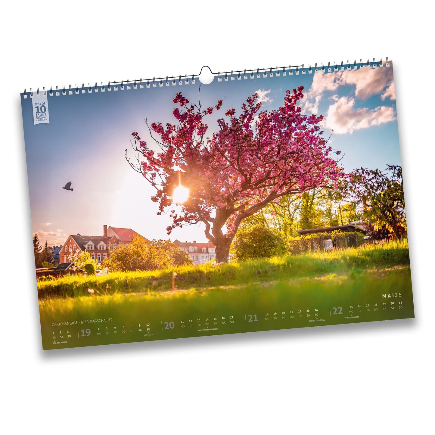 Bergstadtkalender 2026 – Mai-Motiv mit blühendem Kirschbaum in der Gartenanlage über dem Maßschacht in Freiberg bei Sonnenuntergang.