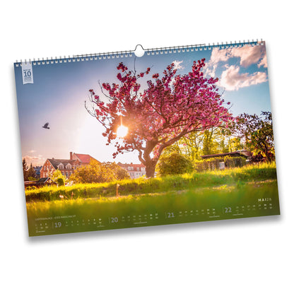 Bergstadtkalender 2026 – Mai-Motiv mit blühendem Kirschbaum in der Gartenanlage über dem Maßschacht in Freiberg bei Sonnenuntergang.