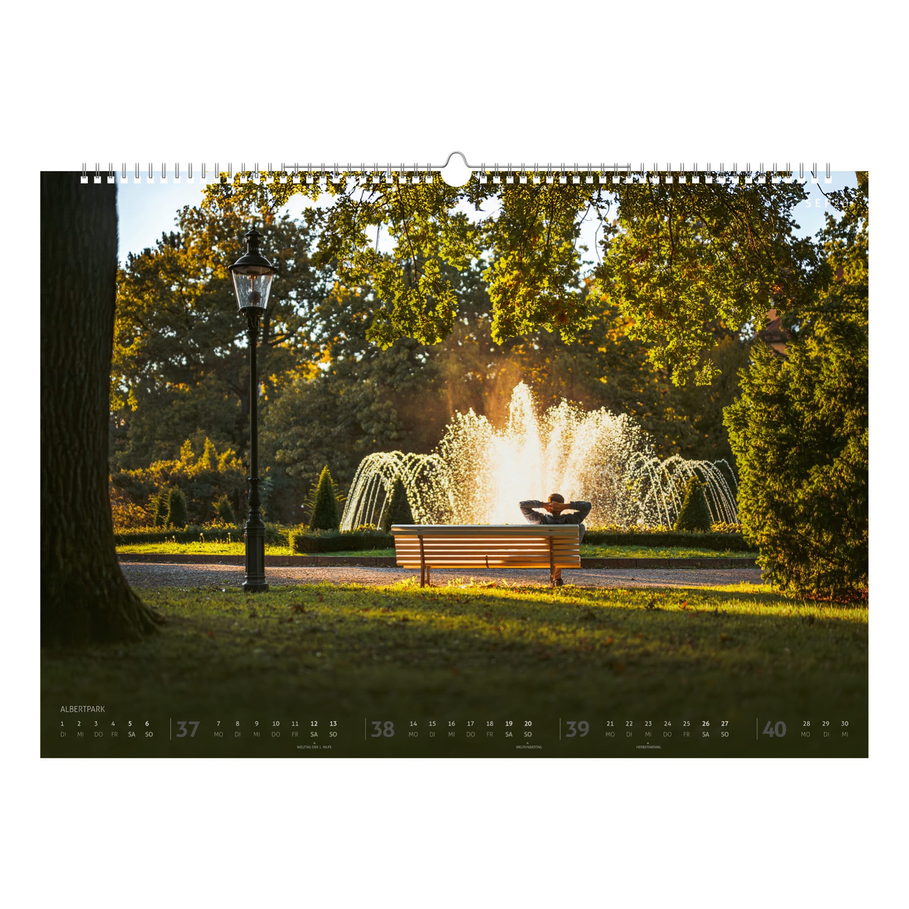 Ein Spaziergänger auf der Parkbank vor dem sonnenbeleuchteten Brunnen im Albertpark Freiberg – spätsommerliche Stimmung mit weichem Licht und Schatten.
