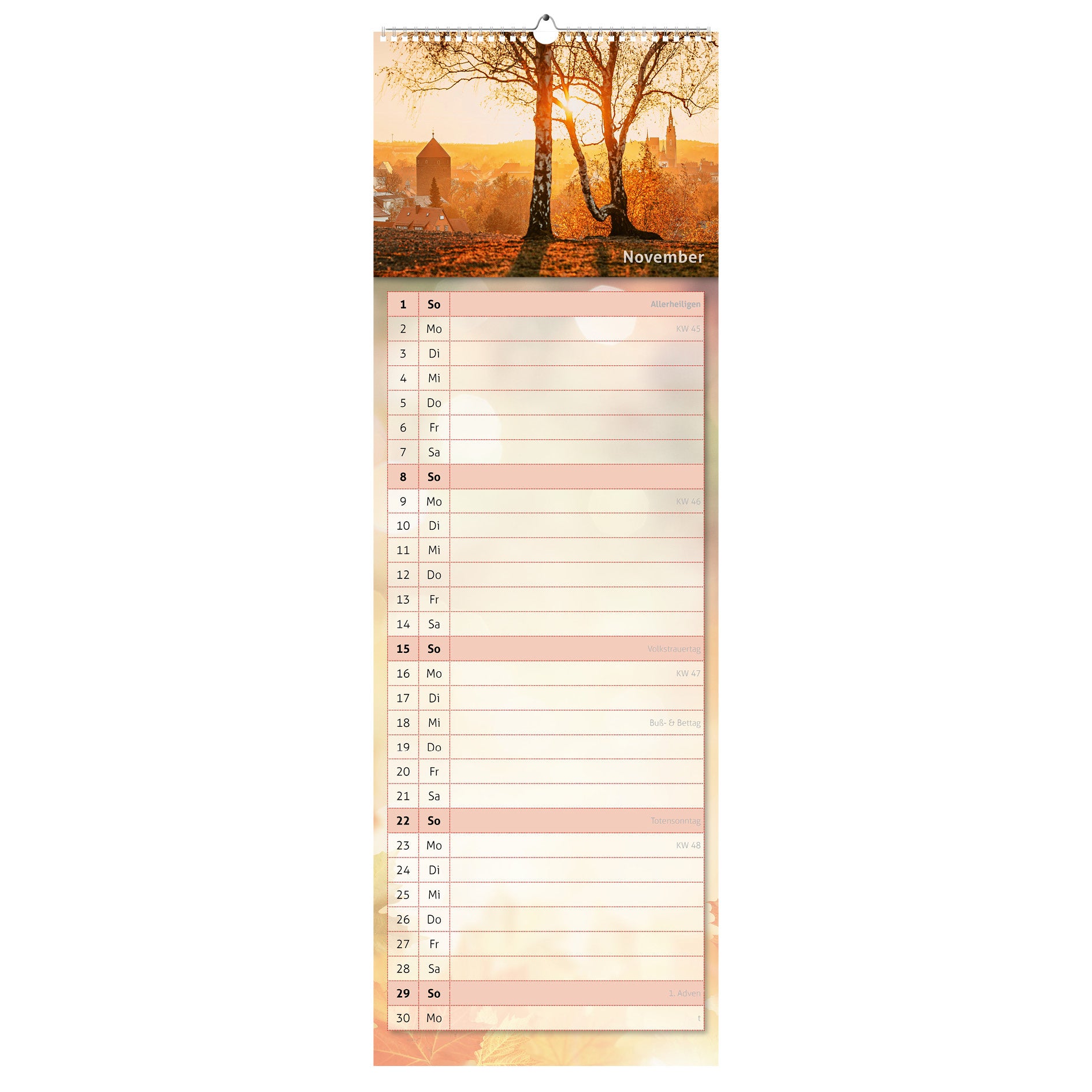 November-Motiv des Küchenkalenders 2026: Blick über Freiberg von der Haldenkante, mit Donatsturm und Petrikirche in goldenes Licht getaucht.